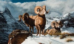 Swanson Gary Robert 1941-2010,Rocky Mountain Bighorn,Scottsdale Art Auction US 2023-04-14