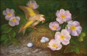 SWEETING Denby 1936-2020,Goldfinch with eggs and Burnet roses,Lacy Scott & Knight GB 2022-09-17