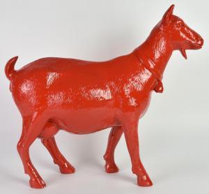 SWEETLOVE Willem 1949,CLONED RED GOAT,Itineris Aste IT 2024-03-11