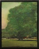 TADRICK Leon 1925-2006,Willow Tree,Clars Auction Gallery US 2013-05-18