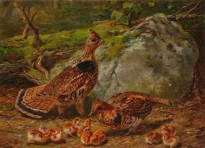 TAIT Arthur Fitzwilliam 1819-1905,Ruffed Grouse ﻿,1863,Sotheby's GB 2023-04-20