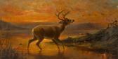 TAIT Arthur Fitzwilliam 1819-1905,Ten point buck at evening twilight,1883,Bonhams GB 2012-05-15