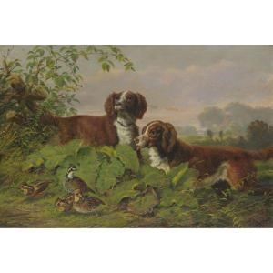 TAIT Arthur Fitzwilliam 1819-1905,TWO SETTERS AND QUAIL,1865,Sotheby's GB 2010-12-02