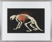 TAKEDA Hideo 1948,A porcupine skeletal print in red and white on black,Eldred's US 2019-08-20