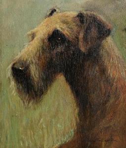 TALLENTIRE Anne 1949,Irish Terrier,Morgan O'Driscoll IE 2024-01-08