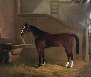 TANNER Charles 1839-1847,'Violet' - A chestnut horse standing in astable,Bonhams GB 2008-09-09