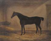 TANNER Charles 1839-1847,Foney, a dark brown racehorse in a stable,Christie's GB 2002-03-07