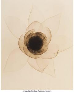TASKER Dain L., Dr 1872-1964,X-Ray of a Lotus Flower,1933,Heritage US 2021-04-12