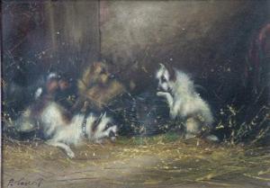 TASSELL F,Terriers and a rat.,David Lay GB 2009-04-02