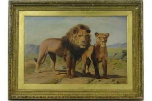 TAX P.T,Lion and lioness,Burstow and Hewett GB 2015-11-18