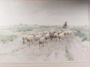 TAYLOR George,shepherd with sheep and sheep dog,Jones and Jacob GB 2023-07-12