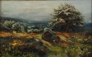 TAYLOR Turner,Top of West Chevin,1896,Morphets GB 2010-09-09