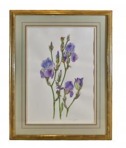 TCHEREPNINE Jessica 1938-2018,Botanical Art,Dallas Auction US 2023-11-19