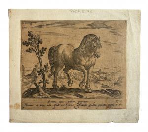 TEMPESTA Antonio 1555-1630,Romanus equus gradiens exprimitur,Dams Casa d'Aste IT 2024-02-15