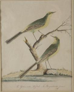 TEMPLEMAN C,THE GREEN WREN AND THE TWITE,Lyon & Turnbull GB 2007-10-12