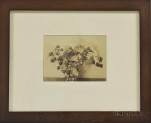 TEPE Richard 1870-1940,Blackberry Study,Skinner US 2017-11-17