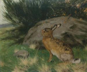 TERNES August 1872-1938,Young Hare,Peter Karbstein DE 2013-10-19