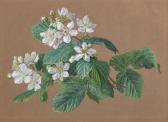 TETTELBACH Ernst Moritz 1794-1870,Wild roses,1831,Palais Dorotheum AT 2021-04-22