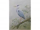 THELWELL david,Ornithological study of aheron on a branch,Andrew Smith and Son GB 2007-10-23