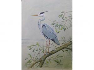 THELWELL david,Ornithological study of aheron on a branch,Andrew Smith and Son GB 2007-10-23
