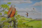 THELWELL david,Red kite (Milvus Milvus) perched in a landscape,2004,Andrew Smith and Son 2017-05-16