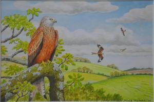 THELWELL david,Red kite (Milvus Milvus) perched in a landscape,2004,Andrew Smith and Son 2017-05-16