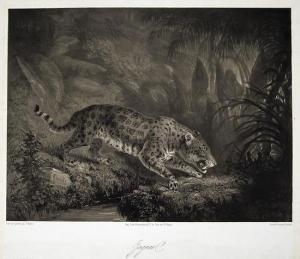 THENOT Jean Pierre 1803-1857,Jaguar,Bloomsbury London GB 2011-03-17