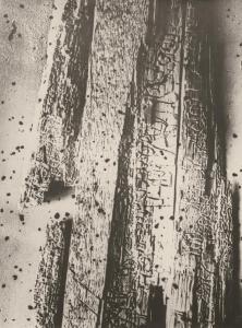 THIEMANN Elsa 1910-1981,Abstract study (dead wood),Galerie Bassenge DE 2021-12-08