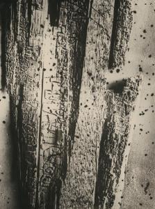 THIEMANN Elsa 1910-1981,Structural study (dead wood),1930,Galerie Bassenge DE 2023-12-06