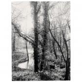 THIOLLIER Felix,``rivière en sous-bois', (stream under the trees),,1890,Sotheby's 2003-05-22