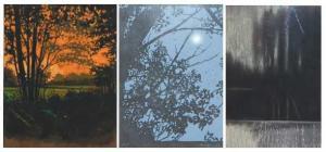THOMAS Paul 1868-1910,Sunset through the trees,2015,Lacy Scott & Knight GB 2022-03-18