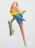 THOMAS Paul 1868-1910,Two works: Red Macaw and Hummingbird,Hindman US 2016-12-01