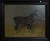 THOMPSON BEATRICE 1921-1936,Portrait of a horse,Holloway's GB 2008-12-16