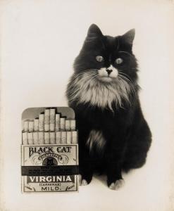 THOMPSON Charles Thurston 1816-1868,Black Cat with Black Cat Cigarettes,Swann Galleries 2015-10-15