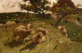 THOMPSON Harry,Sheep on the Hillside,Morgan O'Driscoll IE 2017-10-23