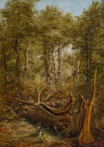 THOMPSON Jerome 1814-1886,Fallen Tree,1863,Shannon's US 2023-10-26