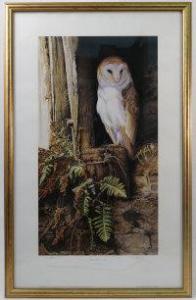 THOMPSON Kim 1963,Barn Owl,Serrell Philip GB 2016-07-14