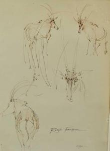 THOMPSON Ralph 1913-2009,Oryx sketches,Reeman Dansie GB 2023-08-28