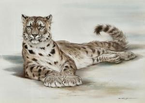 THOMPSON Ralph 1913-2009,Vigilant Snow Leopard,Dobiaschofsky CH 2023-11-08