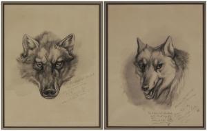 THOMPSON SETON Earnest 1860-1946,Two wolf portraits,Brunk Auctions US 2012-03-10