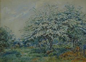 THOMPSON W 1893,blossom trees,1884,Burstow and Hewett GB 2018-01-25