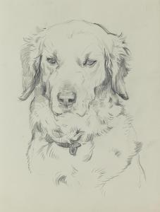 THOMSON John Murray 1885-1974,Sketch of a Retriever and another of Young Wolves,Bonhams 2023-11-08