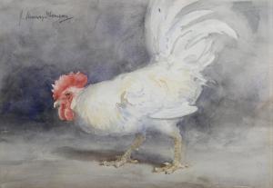 THOMSON John Murray 1885-1974,White Cock,Tooveys Auction GB 2023-07-12
