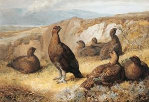 THORBURN Archibald 1860-1935,A Covey Of Red Grouse,1882,Sotheby's GB 2005-08-31
