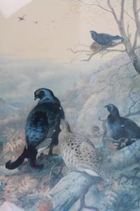 THORBURN Archibald 1860-1935,Birds in an autumn setting,Golding Young & Mawer GB 2019-01-03