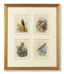 THORBURN Archibald,Blackbird; Great Spotted Woodpecker; Long-Eared Ow,1914,Bonhams 2024-03-20