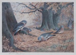 THORBURN Archibald 1860-1935,British birds,Bonhams GB 2018-05-22