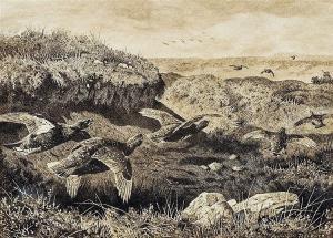 THORBURN Archibald 1860-1935,Hare Startling Pheasants,Rowley Fine Art Auctioneers GB 2016-08-31