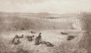 THORBURN Archibald 1860-1935,September Partridges,Bonhams GB 2017-10-25