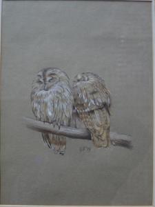 THORN ROE George,Pair of tawny owls,1973,Andrew Smith and Son GB 2017-11-07